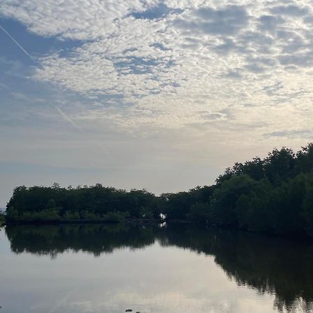Mangrove Inn Karimunjawa Exteriör bild