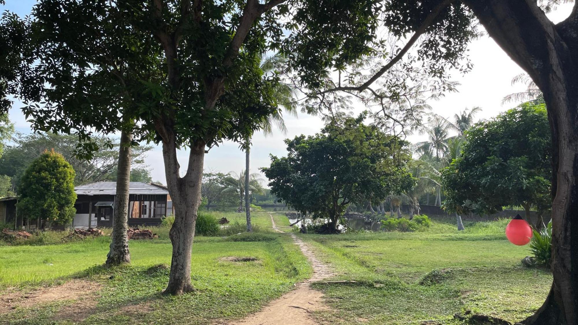 Mangrove Inn Karimunjawa Exteriör bild