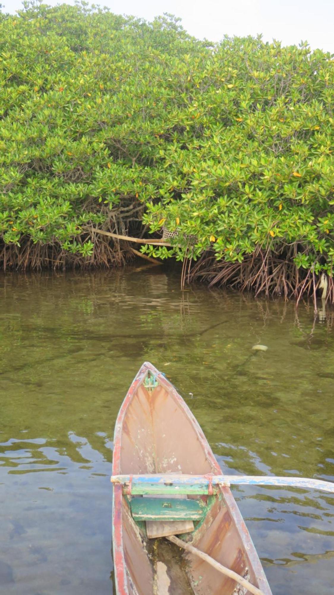 Mangrove Inn Karimunjawa Exteriör bild