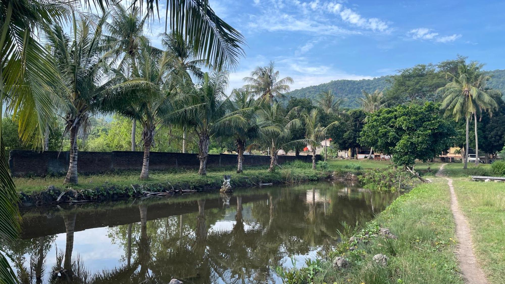 Mangrove Inn Karimunjawa Exteriör bild