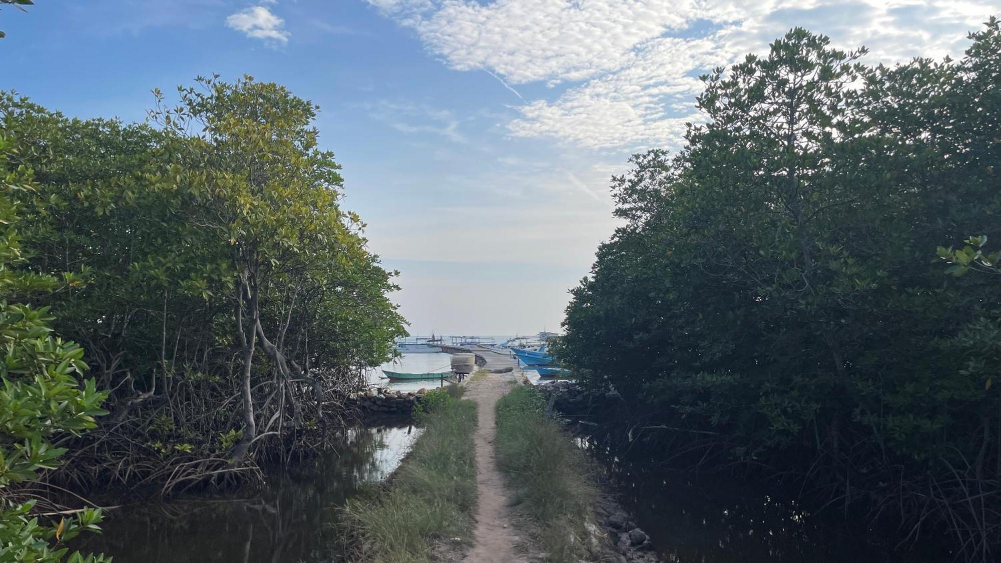 Mangrove Inn Karimunjawa Exteriör bild