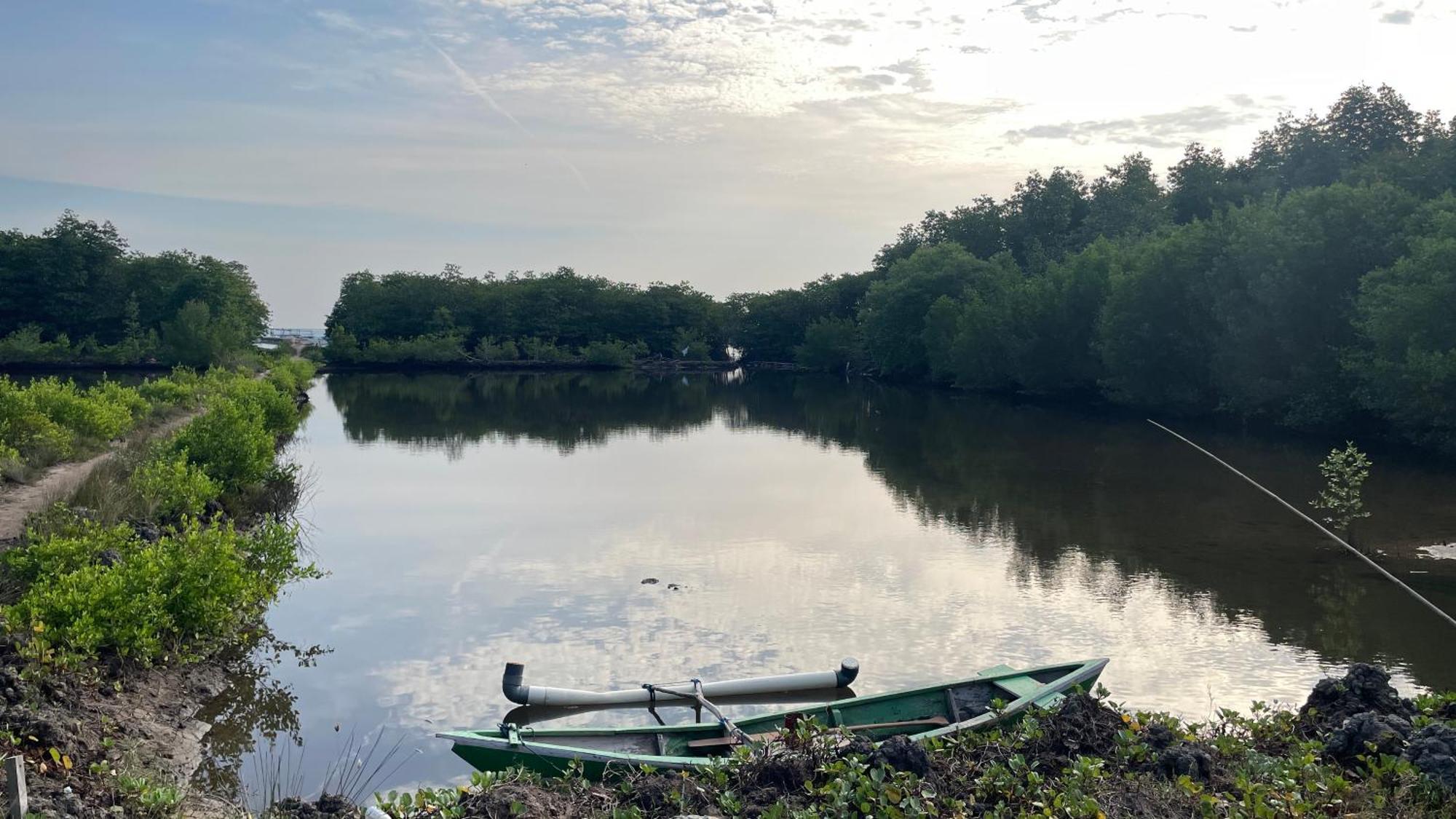 Mangrove Inn Karimunjawa Exteriör bild