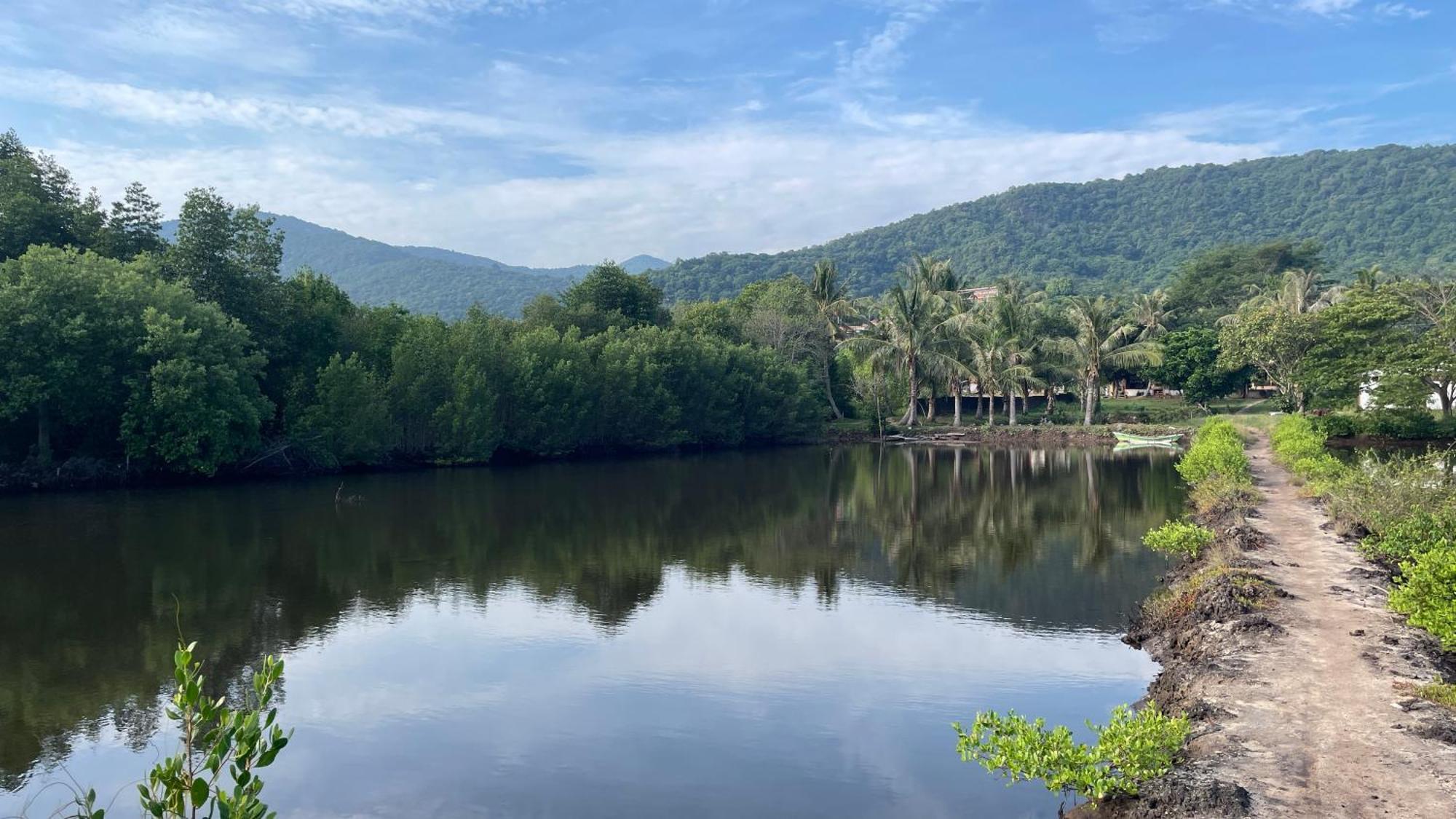 Mangrove Inn Karimunjawa Exteriör bild