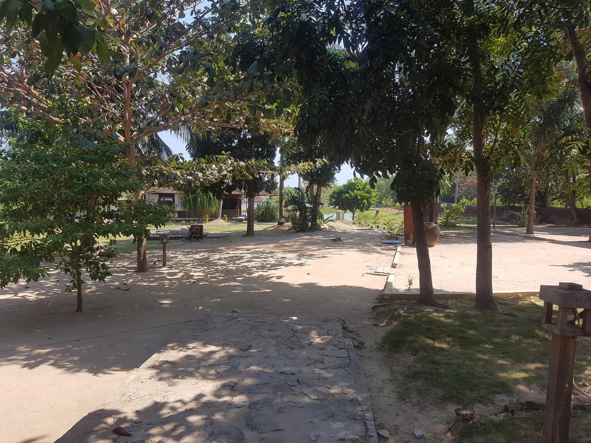 Mangrove Inn Karimunjawa Exteriör bild