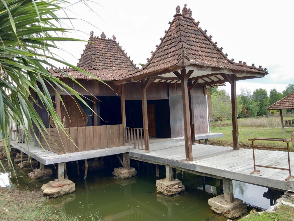 Mangrove Inn Karimunjawa Exteriör bild